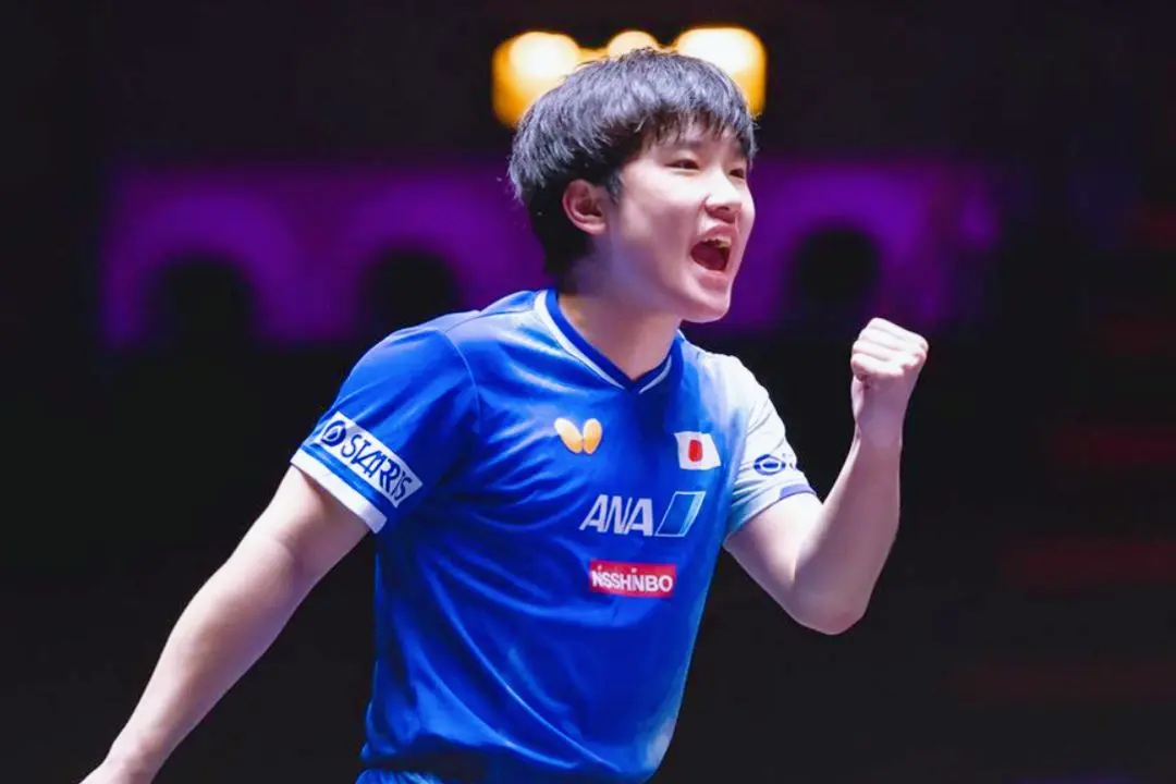 entit, 但他与世界 entit, 但他与世界