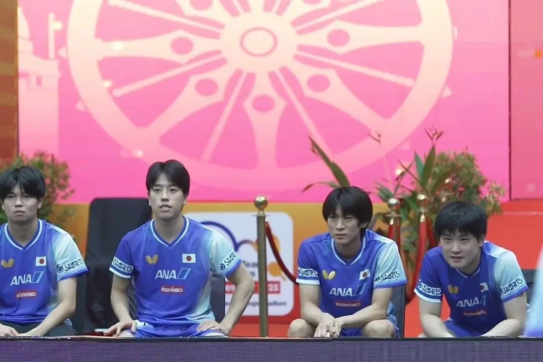 amp, 张本智和 amp, 张本智和